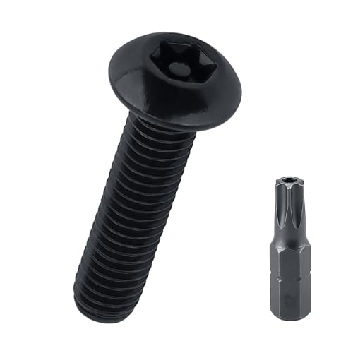 M4–0,7 x 16 mm Torx-Kopf-Maschinenschrauben (100 Stück), 18–8 (304) Edelstahl, manipulationssichere Nummernschild-Schrauben, schwarz beschichtet, Fayeploo (mit Bit) von Fayeploo