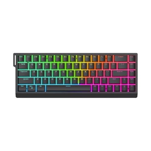 Fazvncv HE65 Mechanische Tastatur Spiel PC Tastaturen mit Magnetschaltern für Gamer und Programmierer von Fazvncv