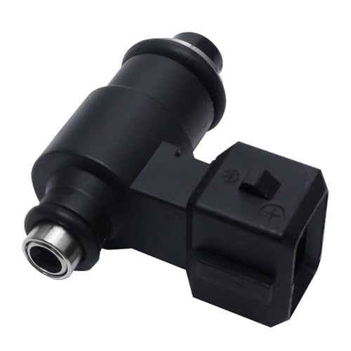 Einspritzdüse Injektor Professioneller Kraftstoffinjektor MEV1-150-A für Motorräder, 250 cc – 300 cc, Sprühdüse, OE FI40-0010-00, vier Löcher, Motorkraftstoffzubehör Kraftstoffeinspritzdüse von Fbxmjoa