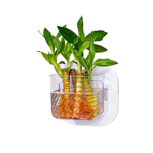 Haustierfreundliche Aquarien zum Aufhängen an der Wand mit Hydrokulturpflanzen, Gartenbehälter für Hydrokulturpflanzen, Innendekoration, Wandmontage-Topf Haustierfreundliche Aquarien zum Aufhängen an der Wand mit Hydrokulturpflanzen, Gartenbehälter für Hydrokulturpflanzen, Innendekoration, Wandmontage-Topf von Fcnjsao