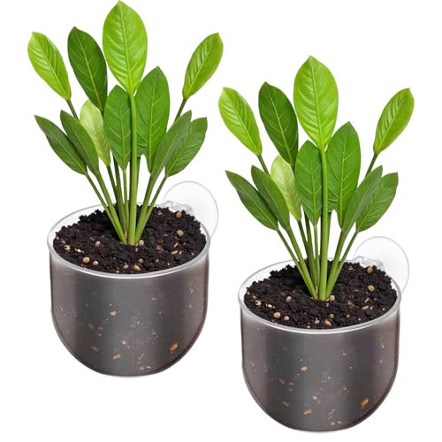 FdcLixuvol 2 Stück Aquarium Deko Wasserpflanzentopf mit Saugnapf Cup Topf Pflanz Pflanzenhalter für Aquarien lebende Pflanzen rote Garnelen FdcLixuvol 2 Stück Aquarium Deko Wasserpflanzentopf mit Saugnapf Cup Topf Pflanz Pflanzenhalter für Aquarien lebende Pflanzen rote Garnelen von FdcLixuvol