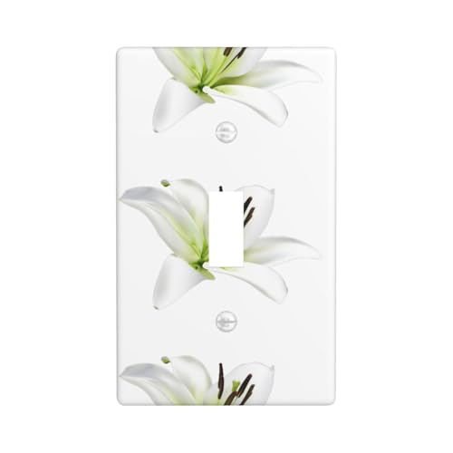 Beautiful-Lilies Druck-Grafik-Dekor-Wandplatten, einzelne Kippschalter-Abdeckung, Wandplatte von Fdfekgvplp