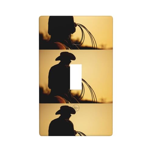 Cowboy mit Lasso-Druck, Grafik-Dekor-Wandplatten, einzelne Kippschalter-Abdeckung, Wandplattenabdeckung von Fdfekgvplp