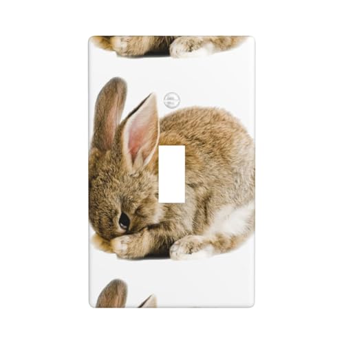 Cry Rabbit Druck-Grafik-Dekor-Wandplatten, einzelne Kippschalter-Abdeckung, Wandplattenabdeckung Cry Rabbit Druck-Grafik-Dekor-Wandplatten, einzelne Kippschalter-Abdeckung, Wandplattenabdeckung von Fdfekgvplp
