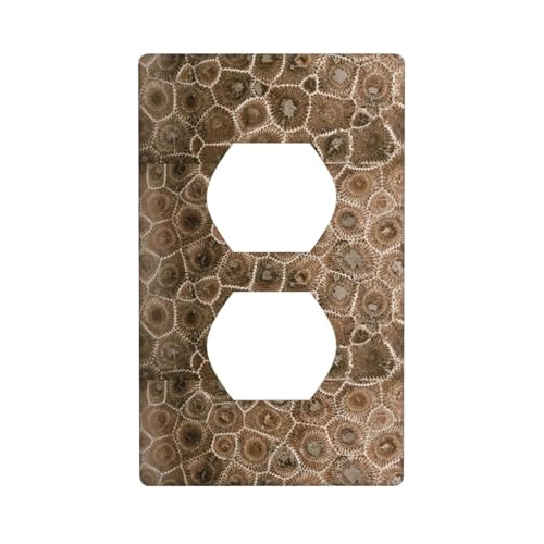 Graphics Decor Wandplatten -Duplex Outlet Wandplattenabdeckung Petoskey Steindruck Wandplattenabdeckung von Fdfekgvplp