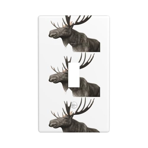 Print Graphics Decor Wandplatten, einzelne Kippschalter-Abdeckung, Wandplattenabdeckung von Fdfekgvplp