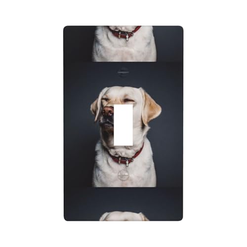 Wandplatte mit niedlichem Labrador-Hunde-Druck, einzelne Kippschalter-Abdeckung, Wandplatte Wandplatte mit niedlichem Labrador-Hunde-Druck, einzelne Kippschalter-Abdeckung, Wandplatte von Fdfekgvplp