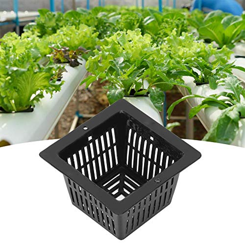 Fdit 50 Stück Blumenpflanze Anbaukorb Bodenloser Anbau Quadratischer Hydroponik-Netztopf für hydroponisches Gemüse(Schwarz) von Fdit