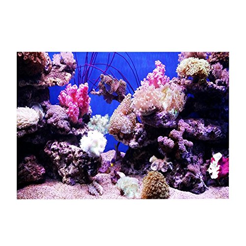 Aquarium Hintergrund HD Ocean Marine Coral Wallpaper 3D Effect Aufkleber Unterwasserwelt Hintergrund Dekoration für Aquarium (61 x 41 cm) von Fdit