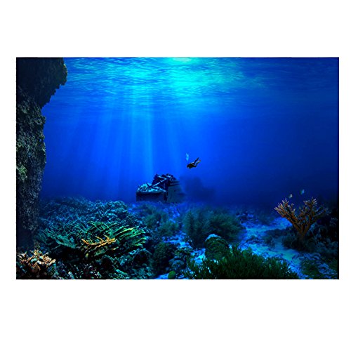 Aquarium Hintergrund HD U-Boot Coral Reef Foto Tapete Aquarium Fische Meer Wand XXL Unterwasser Welt Wanddekoration (91*50cm) von Fdit