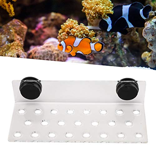 Coral Frag Rack Acryl Aquarium Magnet Coral Frag Halter Aquarium Coral Frag Rack Halterung für Aquarium Aquarium Zubehör von Fdit