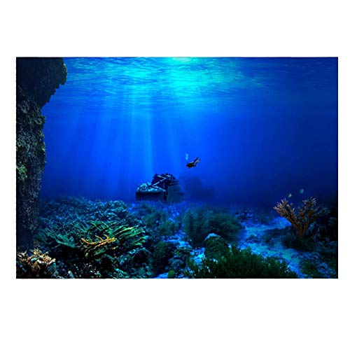 Rückenplakat für einen Fischtank, Aquarium HD U-Boot Coral Reef Foto Tapete Aquarium Meeresfische XXL Unterwasser Welt Wanddekoration (61 x 30 cm) von Fdit