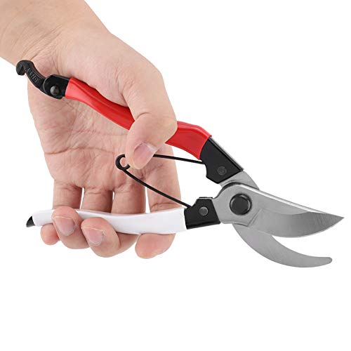Fdit Gartenschere aus Stahl Bonsaischneider Handschere Gartenschere mit Sicheren Schlössern, Handschere für Hausgartenpflanzen, Obstbäume Fdit Gartenschere aus Stahl Bonsaischneider Handschere Gartenschere mit Sicheren Schlössern, Handschere für Hausgartenpflanzen, Obstbäume von Fdit