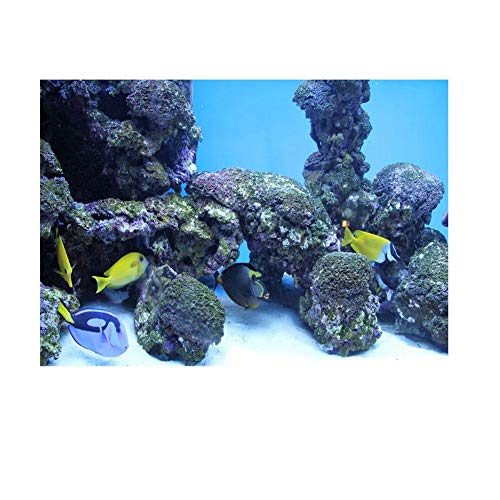 Fdit Korallenroter Aquarium Hintergrund Unterwasserplakat Aquarium Wand Dekorations Aufkleber(61 * 30cm) von Fdit