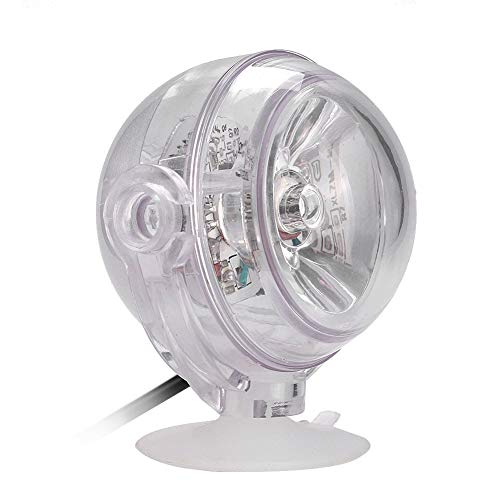 Fdit LED Mehrfarbige Wasserdichte Unterwasserlicht-Scheinwerferlampe für Fischteich-Pool-Brunnen EU-Stecker AC110-240V (Spezifikationen: bunter Farbwechsel) von Fdit