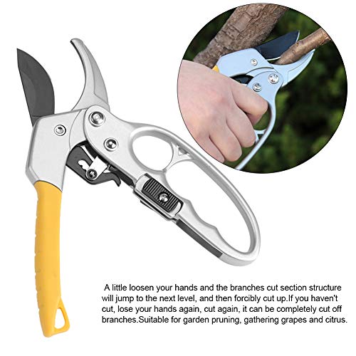 Fdit Schere mit Hohem Kohlenstoffstahl -Schnitt mit Sicherem Sperrknopf für Zitruszweig -Beschneidung Easy Operation Gartenschere Fdit Schere mit Hohem Kohlenstoffstahl -Schnitt mit Sicherem Sperrknopf für Zitruszweig -Beschneidung Easy Operation Gartenschere von Fdit