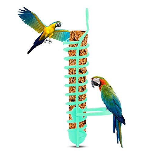 Papageien Feeder Basket Kunststoff Lebensmittel Obst Fütterung Barsch Ständer Halter für Pet Bird Supplies (Grün) von Fdit