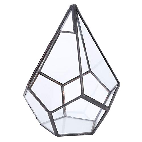 Unregelmäßiger polyedrischer Glas-Terrarium-Pflanzgefäß, Terrarium, Blumentopf, Pflanzgefäß, Landschaftsdekoration von Fdit