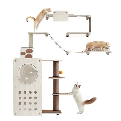 Feandrea Clickat Land - Kletterwand Katzen, 7er Set, extrem schnelle Montage, unbegrenzt erweiterbar, austauschbare Module und Teile, Kratzbaum, Katzenbrett, Hängematte, Katzentreppe, Futterstation von Feandrea