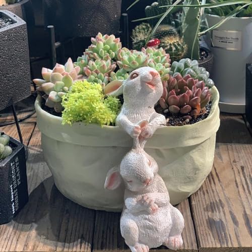 Feaolala Bunny Blumentopf Sukkulente Pflanzer mit Hase Statue Niedliche Tier Geformt Cartoon Pflanzer Töpfe Haus Garten dekorative Blumentopf Kunst Deko Ostern Geschenk (A) von Feaolala
