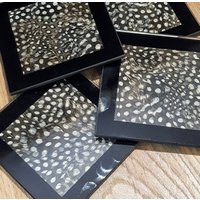4Er Set Echte Perlhuhn Feder Schwarz Weiße Tupfen Untersetzer. Erntedankfest 4Er Set Echte Perlhuhn Feder Schwarz Weiße Tupfen Untersetzer. Erntedankfest von FeathersandQuills