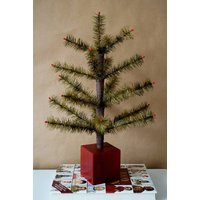 Echter Gänsefederbaum 50 cm von FeathertreeForest