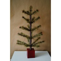 Echter Gänsefederbaum 65 cm von FeathertreeForest
