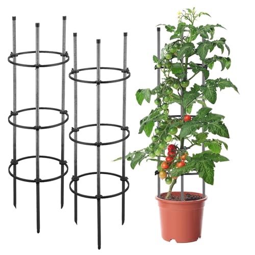 Tomatenkäfig für Garten, 152,4 cm, Tomatenkäfige zur Pflanzenstütze, 2er-Pack, Tomaten-Rankgitter für Hochbeet, Töpfe, Metall, stabile Kirschtomatenpfähle, Stützen für Gurken, Gemüse, Kletterpflanzen, von Feblomst