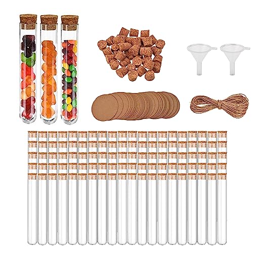 Reagenzgläser mit Korken, 15x100mm(13ml), Reagenzglas Kunststoff mit Kraftpapieranhänger, Hanfseil, Trichter, Reagenzglasgefäße für DIY Craft Candy Liquids Spices Blumen (100 Stück(Kunststoff)) von Febsow