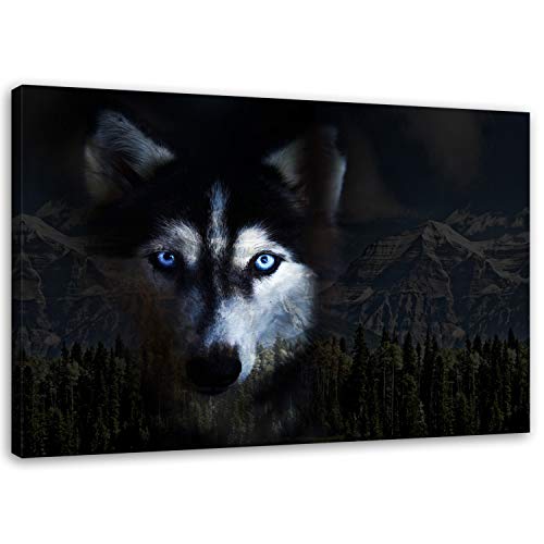 Feeby Frames, Leinwandbild, Bilder, Wand Bild, Wandbilder, Kunstdruck 50x70cm TIERE, WOLF, ANSICHT, SCHWARZ, BRAUN Feeby Frames, Leinwandbild, Bilder, Wand Bild, Wandbilder, Kunstdruck 50x70cm TIERE, WOLF, ANSICHT, SCHWARZ, BRAUN von Feeby Frames