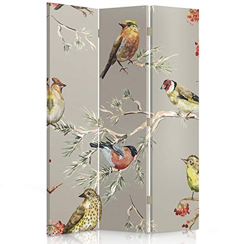 Feeby Paravent Vögel 110x150 cm 3 Teilig Modern Design einseitig Raumteiler Wandschirme Foto Trennwand Raumtrenner Sichtschutz Spanische Wand auf Leinwand Bedruckt Natur Grau Mehrfarben von Mcties