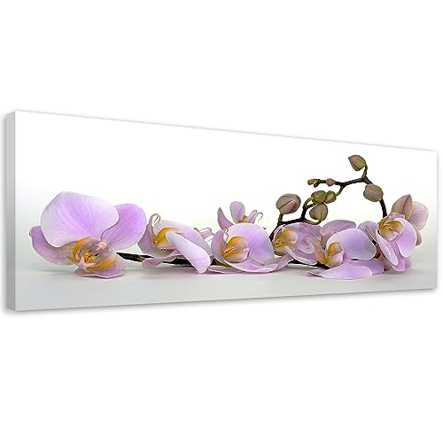 Feeby Bild Auf Leinwand Zen Spa Orchidee 70x25 cm 1 tlg Schlafzimmer Modern Vlies Leinwandbilder Bild auf Leinwand Kunstdruck Wand Wanddeko Design Wohnzimmer Büro Flur Hotel Spa Orient Steine Braun Feeby Bild Auf Leinwand Zen Spa Orchidee 70x25 cm 1 tlg Schlafzimmer Modern Vlies Leinwandbilder Bild auf Leinwand Kunstdruck Wand Wanddeko Design Wohnzimmer Büro Flur Hotel Spa Orient Steine Braun von Feeby