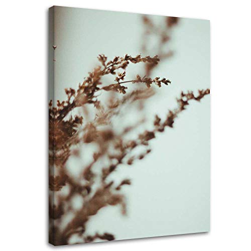 Feeby Bild auf Leinwand - Wandbilder Wohnzimmer Aesthetic - Pflanzen Makro Beige - 30x45 cm 1tlg - Schlafzimmer Wandekoration - Bilder Zimmer - Living Room - Deko Wandbilder - Moderne Bild Feeby Bild auf Leinwand - Wandbilder Wohnzimmer Aesthetic - Pflanzen Makro Beige - 30x45 cm 1tlg - Schlafzimmer Wandekoration - Bilder Zimmer - Living Room - Deko Wandbilder - Moderne Bild von Feeby