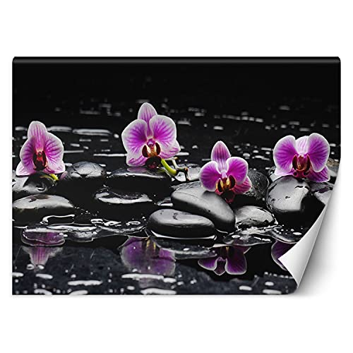 Feeby Fototapete XXL Orchideen Zen-Steine 100x70 cm Schwarz Vliestapete Moderne Design Wandtapete Küche Flur Wohnzimmer Büro Badezimmer Kinderzimmer Spa Wasser Buddhismus Orient Feeby Fototapete XXL Orchideen Zen-Steine 100x70 cm Schwarz Vliestapete Moderne Design Wandtapete Küche Flur Wohnzimmer Büro Badezimmer Kinderzimmer Spa Wasser Buddhismus Orient von Feeby