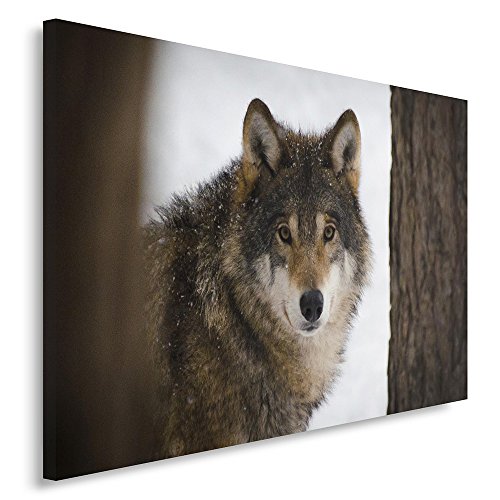 Feeby. Wandbild - 1 Teilig - 30x40 cm, Leinwand Bild Leinwandbilder Bilder Wandbilder Kunstdruck, WOLF, NATUR, BRAUN Feeby. Wandbild - 1 Teilig - 30x40 cm, Leinwand Bild Leinwandbilder Bilder Wandbilder Kunstdruck, WOLF, NATUR, BRAUN von Feeby