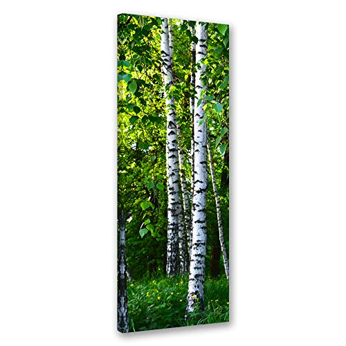 Leinwandbild XXL Birken Wandbild Kunst Natur Grün 60x150 cm Leinwandbild XXL Birken Wandbild Kunst Natur Grün 60x150 cm von Feeby
