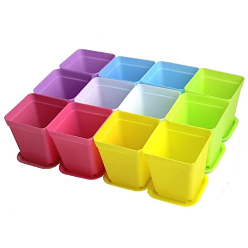 12 x kleine quadratische Kunststoff-Blumentopf, Blumentopf, Blumentopf, Pflanzgefäß, bunt mit Töpfen, für Büro, Haus, Sukkulenten, Obst, Gemüse, Setzlinge, Umpflanzen von Feegow