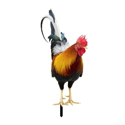 Huhn Hahn Hof Kunst Gartenstecker Realistische lebensechte Henne Garten Geflügel Statue Hahn Tiere Skulptur für Garten Rasen Outdoor Dekor Ornamente (A) von Feegow