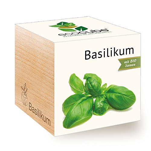 Feel Green Ecocube Basilikum, Bio Zertifiziert, Nachhaltige Geschenkidee (100% Eco Friendly), Grow Your Own/Anzuchtset, Pflanzen Im Holzwürfel, Made in Austria von Feel Green