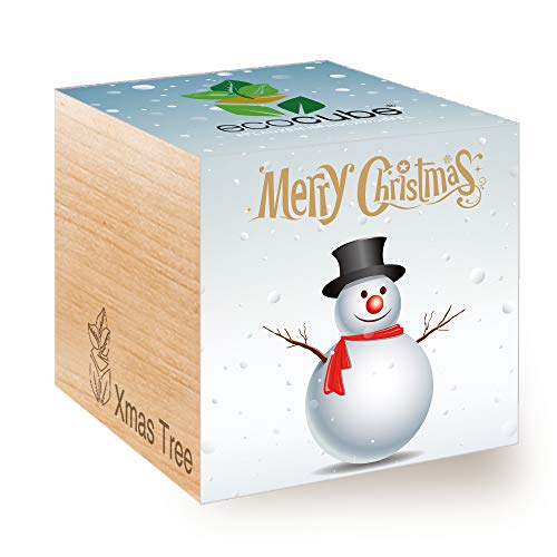 Feel Green Ecocube Schneemann/Xmas Tree, Nachhaltige Geschenkidee (100% Eco Friendly), Grow Your Own/Anzuchtset, Pflanzen Im Holzwürfel, Made in Austria von Feel Green