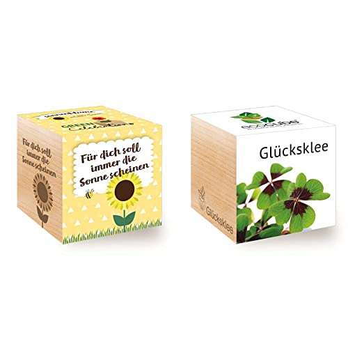 Celebrations Ecocube, Sonnenblume Bio Samen, Holzwürfel Mit Lasergravur «Für Dich Soll Immer Die Sonne Scheinen», Nachhaltige Geschenkidee & 296275 Ecocube Glücksklee, Pflanzen Im Holzwürfel von Feel Green