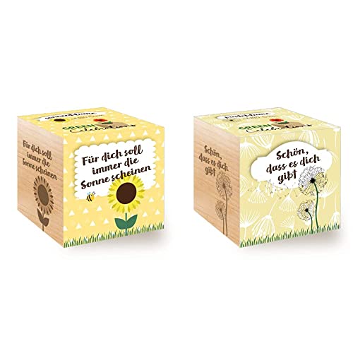 Celebrations Ecocube, Sonnenblume Bio Samen, Holzwürfel Mit Lasergravur «Für Dich Soll Immer Die Sonne Scheinen» & Celebrations Ecocube, Holzwürfel Mit Lasergravur «Schön, DASS Es Dich Gibt» von Feel Green