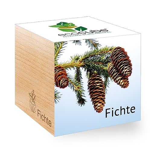 Feel Green - WE CREATE NATURE 291683 Feel Green Ecocube Fichte, Nachhaltige Geschenkidee (100% Eco Friendly), Grow Your Own/Anzuchtset, Pflanzen Im Holzwürfel, Made in Austria von Feel Green - WE CREATE NATURE