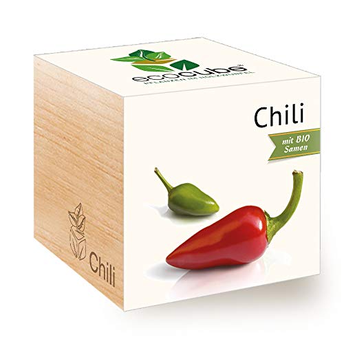 Feel Green 296237 Ecocube Chili, Bio Zertifiziert, Nachhaltige Geschenkidee (100% Eco Friendly), Grow Your Own/Anzuchtset, Pflanzen Im Holzwürfel, Made in Austria von Feel Green