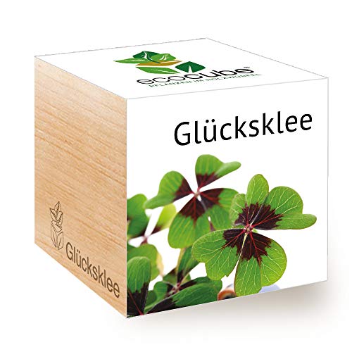 Feel Green 296275 Ecocube Glücksklee, Nachhaltige Geschenkidee (100% Eco Friendly), Grow Your Own/Anzuchtset, Pflanzen Im Holzwürfel, Made in Austria, natural von Feel Green - WE CREATE NATURE