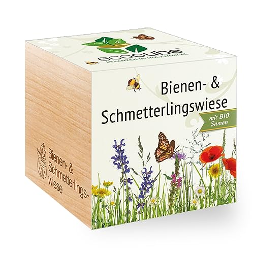 Ecocube Bienen- & Schmetterlingswiese, Bio Samen, Nachhaltige Geschenkidee (100% Eco Friendly), Grow Your Own/Anzuchtset, Pflanzen Im Holzwürfel, Made in Austria von Feel Green