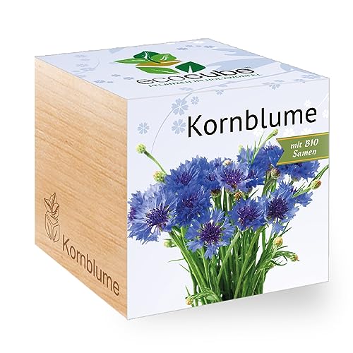 Feel Green - WE CREATE NATURE 297470 Feel Green Ecocube Kornblume, Bio Samen, Nachhaltige Geschenkidee (100% Eco Friendly), Grow Your Own/Anzuchtset, Pflanzen Im Holzwürfel, Made in Austria von Feel Green - WE CREATE NATURE