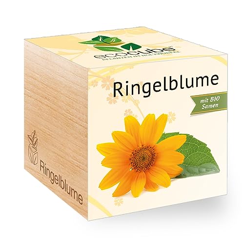 Feel Green - WE CREATE NATURE 297494 Feel Green Ecocube Ringelblume, Bio Samen, Nachhaltige Geschenkidee (100% Eco Friendly), Grow Your Own/Anzuchtset, Pflanzen Im Holzwürfel, Made in Austria von Feel Green