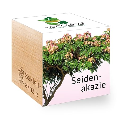 Feel Green - WE CREATE NATURE 297920 Feel Green Ecocube Seidenakazie, Nachhaltige Geschenkidee (100% Eco Friendly), Grow Your Own/Anzuchtset, Pflanzen Im Holzwürfel, Made in Austria von Feel Green - WE CREATE NATURE