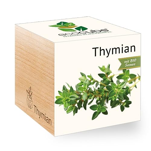 Feel Green - WE CREATE NATURE 298613 Feel Green Ecocube Thymian, Bio Samen, Nachhaltige Geschenkidee (100% Eco Friendly), Grow Your Own/Anzuchtset, Pflanzen Im Holzwürfel, Made in Austria von Feel Green - WE CREATE NATURE